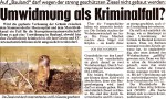 Kronen Zeitung vom 5.1.2013 - "Umwidmung als Kriminalfall?"