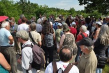 Ziesel-Wanderung beim Wiener Heeresspital  am 15. Juni 2013, (C) www.ziesel.org