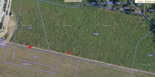 Zieselbaue entlang Trampelpfad nördlich Wiener Heeresspital 2014-03-16