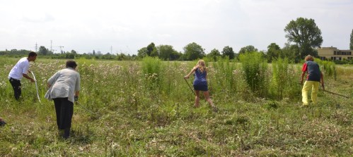 Tony Rei, Madeleine Petrovic und Udo Guggenbichler beim Sensen des verbrachenden Ziesel-Habitats nördlich des Wiener Heeresspitals