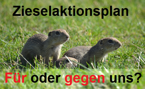 Zieselaktionsplan Wien lehrt Ziesel das Fürchten – Bürgerinitiative antwortet mit Informationsoffensive
