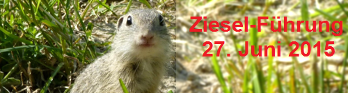 Ziesel-Führung beim Wiener Heeresspital am 27. Juni 2015