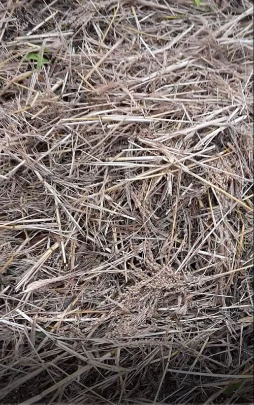 2017-12-06 14_19_55-standbild